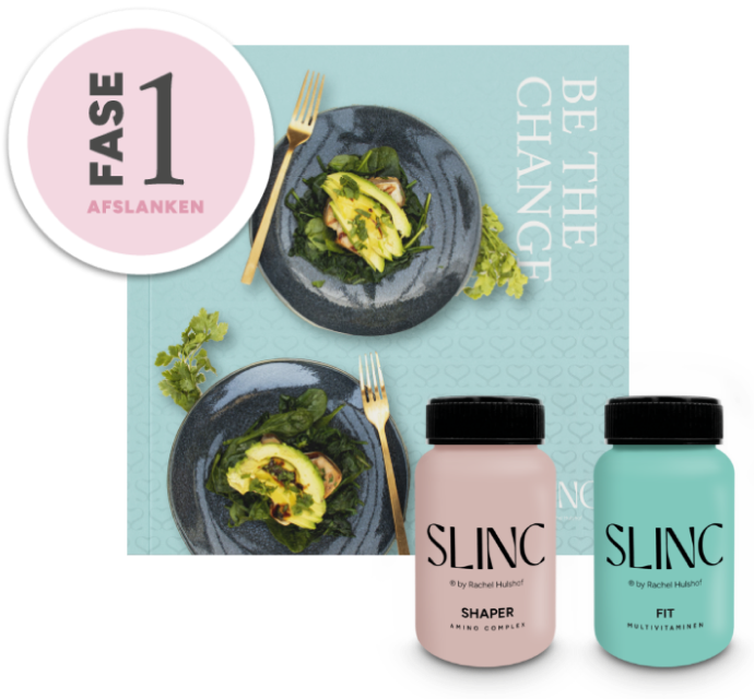 Slinc Fase 1 Afslanken